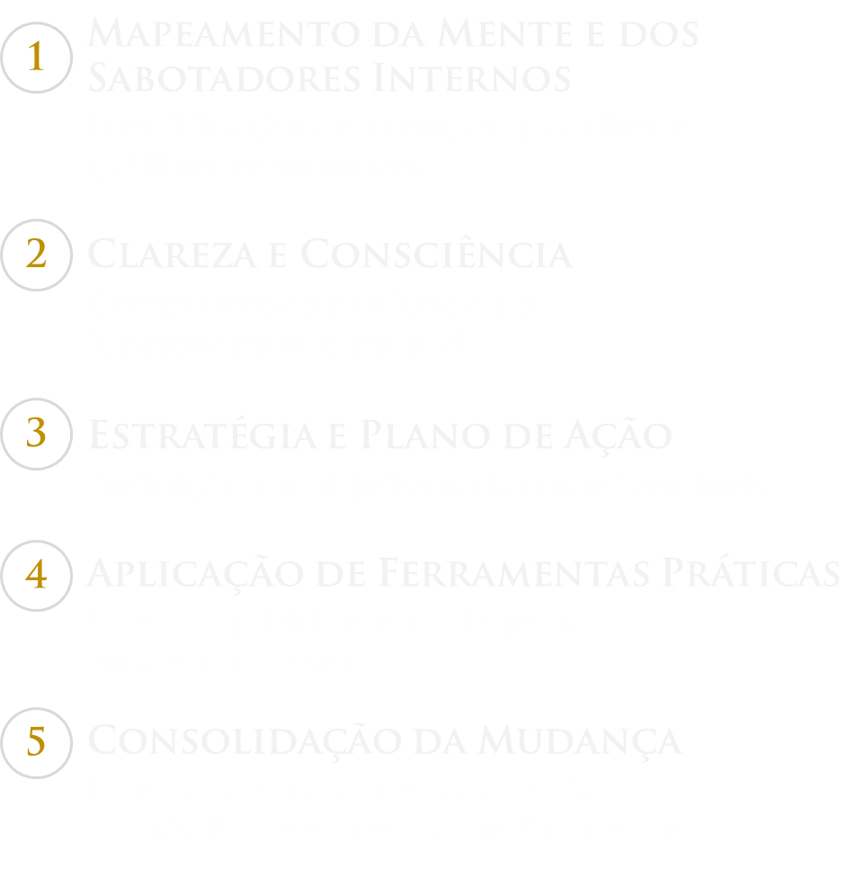 Mentoria Práxis