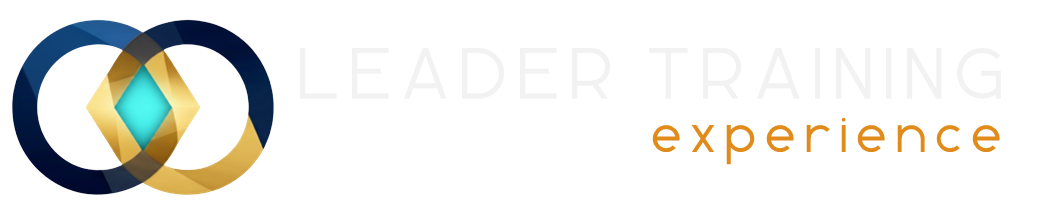 VSM_Logo_LT-2026-BRILHO-BRANCO